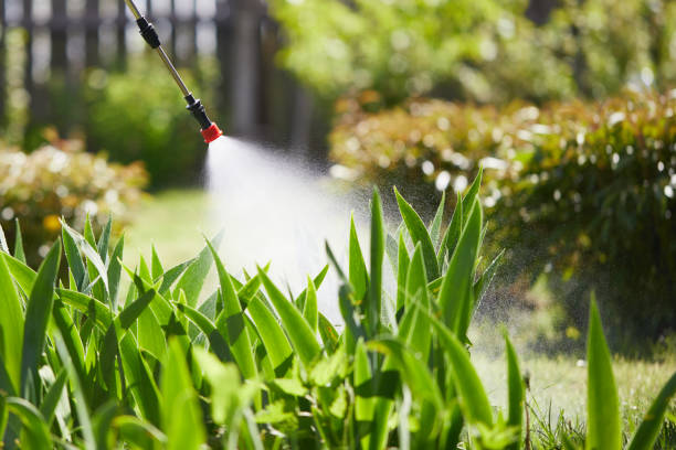 24/7 Emergency Wasp Removal experts in Leonia, NJ