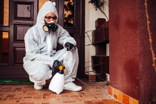Reliable Wasp Removal contractor in Leonia, NJ by Show Me Pest Control